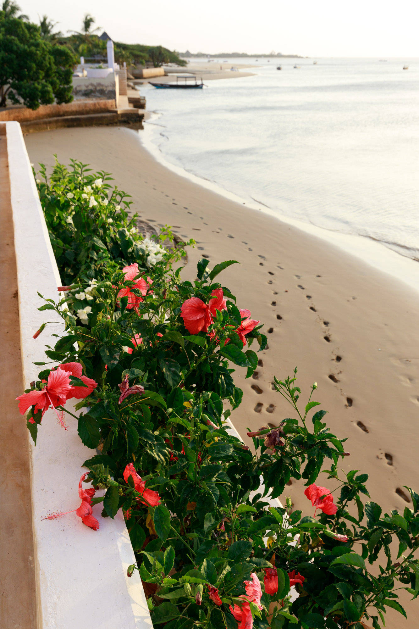 amani-house-exterior-lamu-kenya-villacollective-24-12